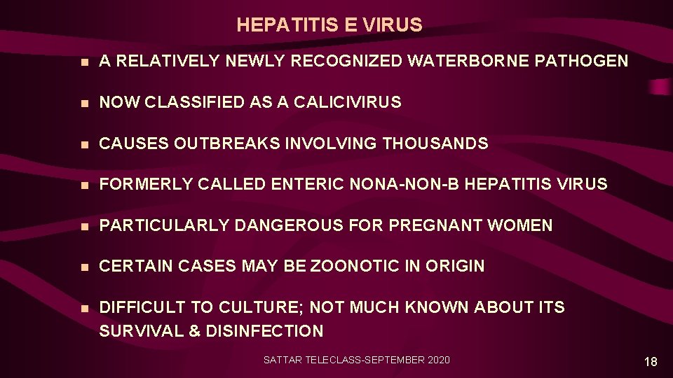 HEPATITIS E VIRUS n A RELATIVELY NEWLY RECOGNIZED WATERBORNE PATHOGEN n NOW CLASSIFIED AS