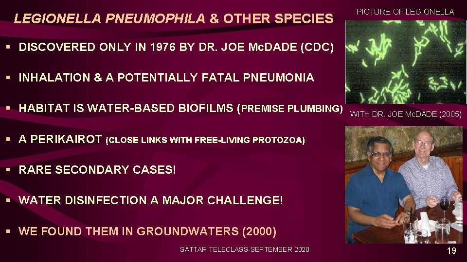 LEGIONELLA PNEUMOPHILA & OTHER SPECIES PICTURE OF LEGIONELLA § DISCOVERED ONLY IN 1976 BY