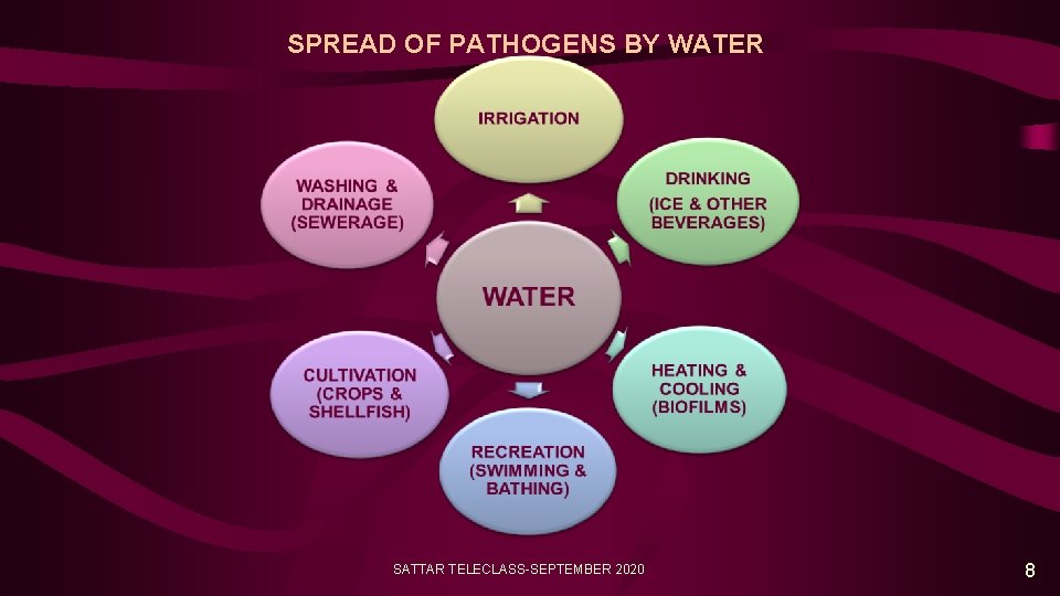 SPREAD OF PATHOGENS BY WATER SATTAR TELECLASS-SEPTEMBER 2020 8 