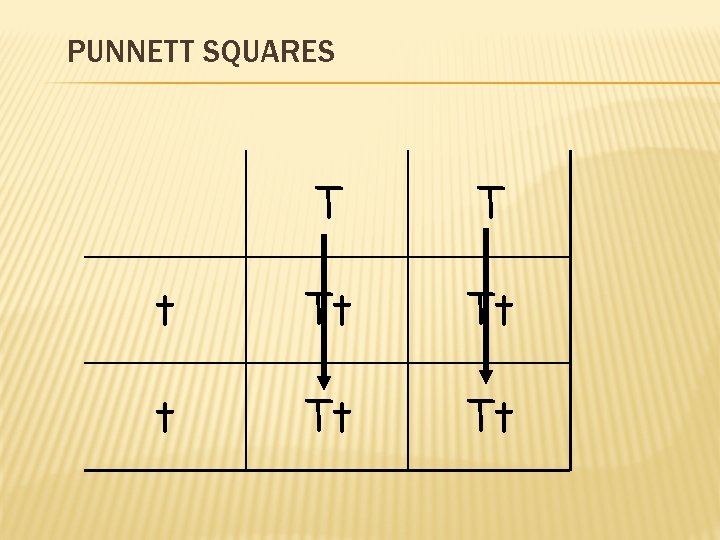 PUNNETT SQUARES T T t Tt Tt 