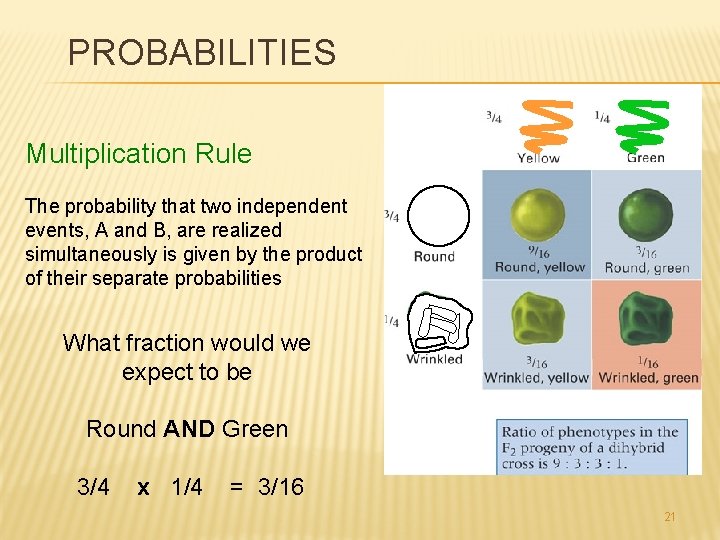 PROBABILITIES Multiplication Rule The probability that two independent events, A and B, are realized