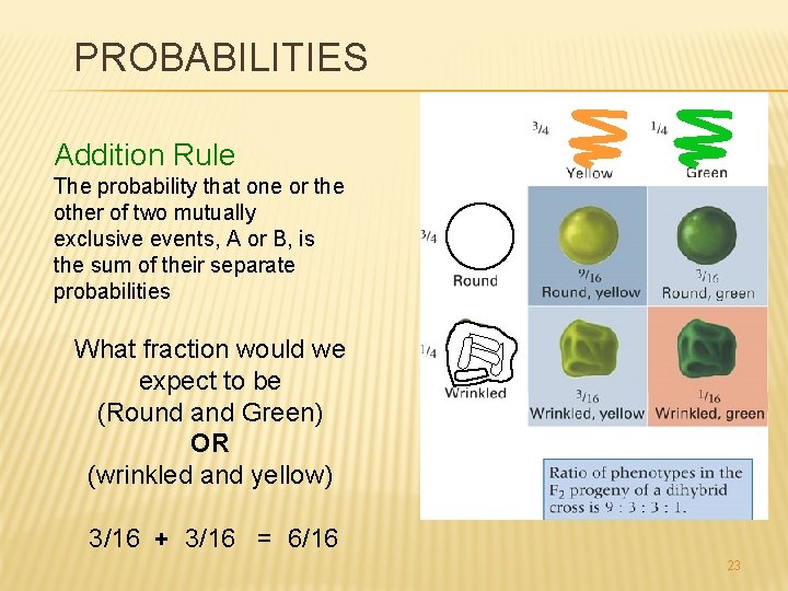 PROBABILITIES Addition Rule The probability that one or the other of two mutually exclusive