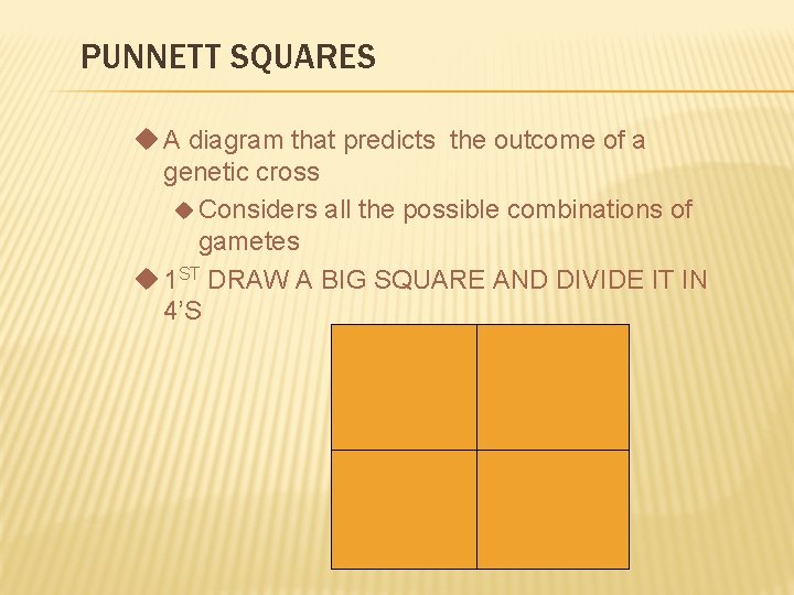 PUNNETT SQUARES u A diagram that predicts the outcome of a genetic cross u