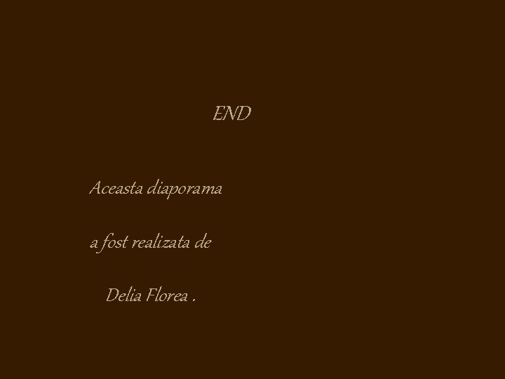 END Aceasta diaporama a fost realizata de Delia Florea. 