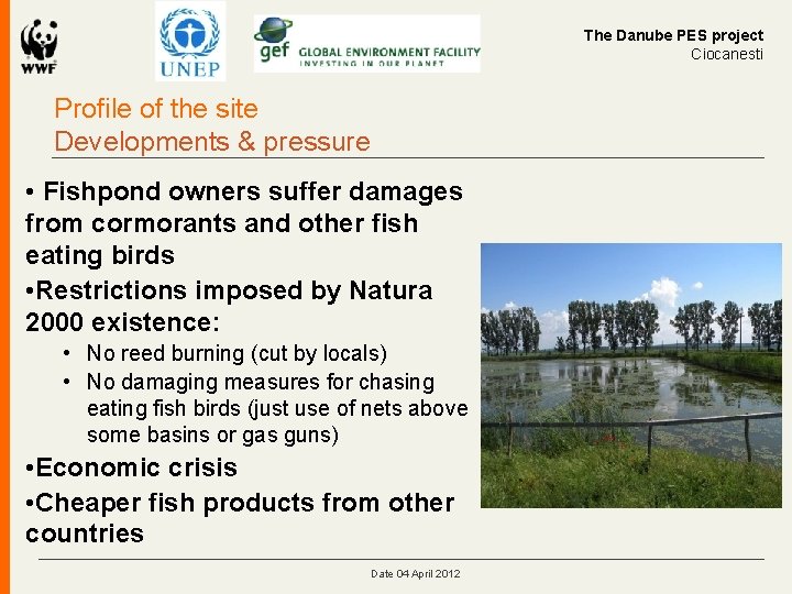 The Danube PES project Ciocanesti Profile of the site Developments & pressure • Fishpond