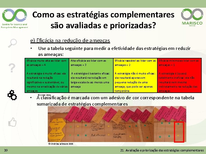 Como as estratégias complementares são avaliadas e priorizadas? e) Eficácia na redução de ameaças