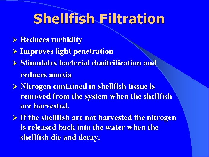 Shellfish Filtration Reduces turbidity Ø Improves light penetration Ø Stimulates bacterial denitrification and reduces