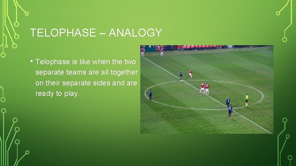 TELOPHASE – ANALOGY • Telophase is like when the two separate teams are all