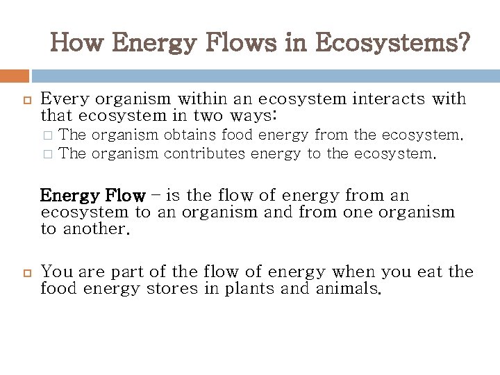 How Energy Flows in Ecosystems? Every organism within an ecosystem interacts with that ecosystem