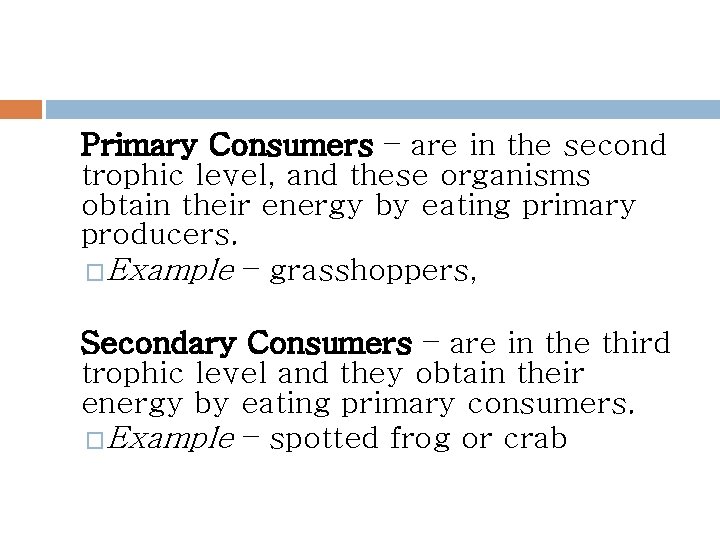Primary Consumers – are in the second trophic level, and these organisms obtain their
