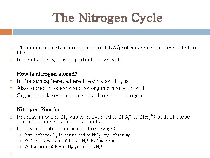 The Nitrogen Cycle This is an important component of DNA/proteins which are essential for