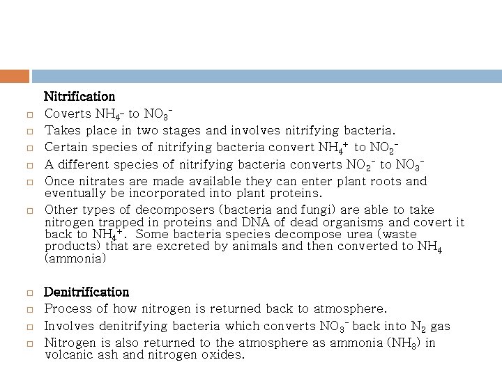 Nitrification Coverts NH 4_ to NO 3 Takes place in two stages and