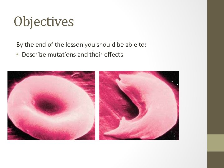 Objectives By the end of the lesson you should be able to: • Describe