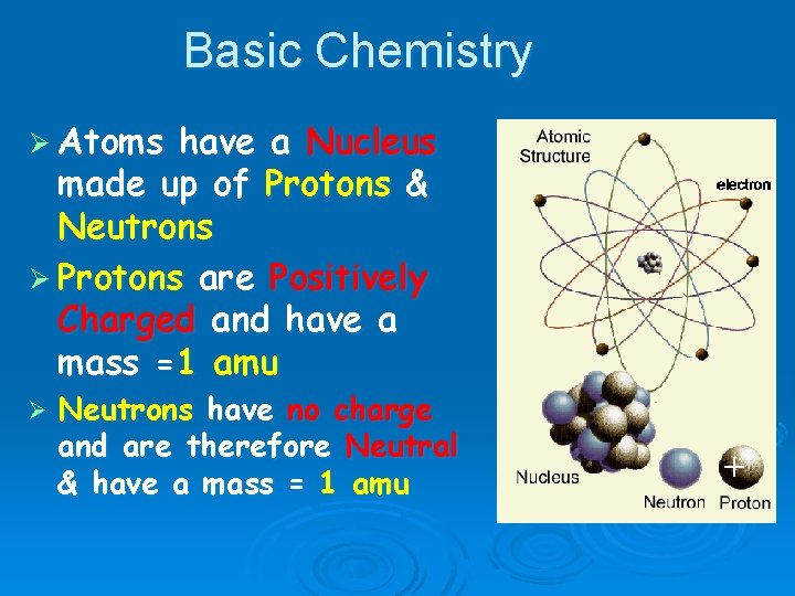 Basic Chemistry Ø Atoms have a Nucleus made up of Protons & Neutrons Ø