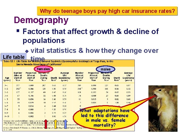 Why do teenage boys pay high car insurance rates? Demography § Factors that affect