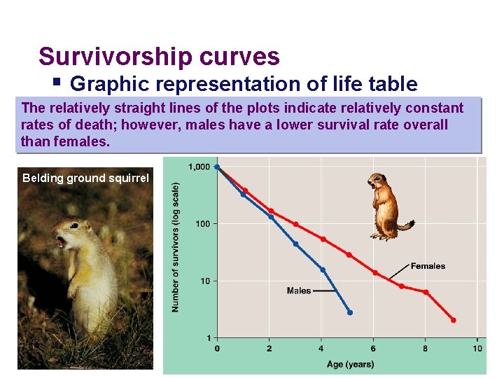 Survivorship curves § Graphic representation of life table The relatively straight lines of the