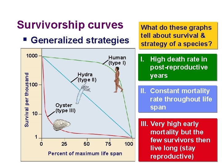 Survivorship curves § Generalized strategies Survival per thousand 1000 Human (type I) Hydra (type