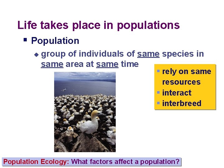 Life takes place in populations § Population u group of individuals of same species