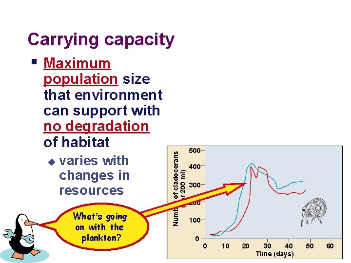 Carrying capacity § Maximum u varies with changes in resources What’s going on with
