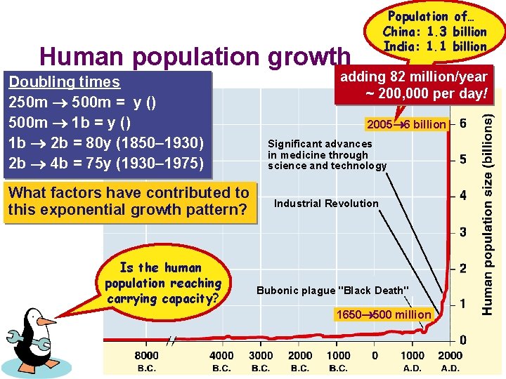 Population of… China: 1. 3 billion India: 1. 1 billion Human population growth Doubling