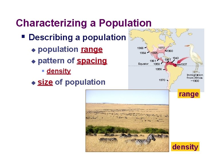 Characterizing a Population § Describing a population range u pattern of spacing u §