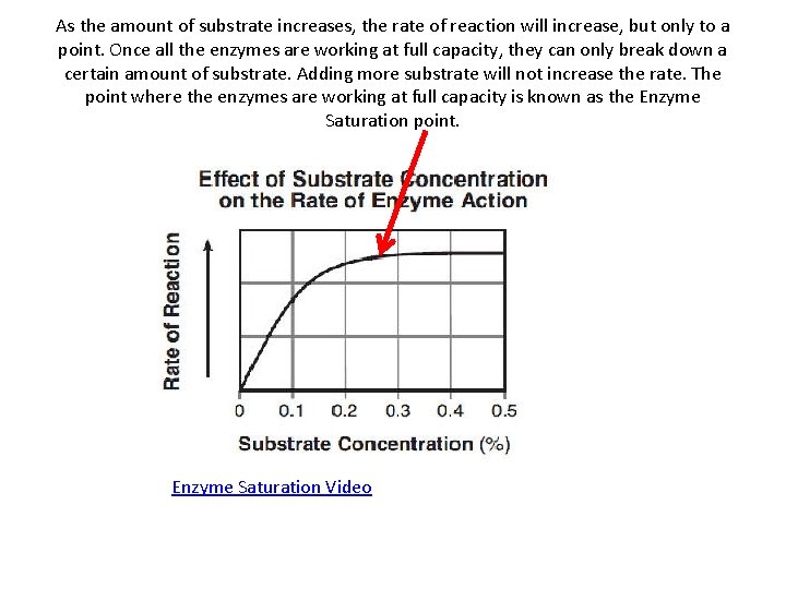 As the amount of substrate increases, the rate of reaction will increase, but only