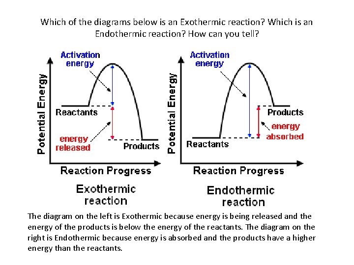 Which of the diagrams below is an Exothermic reaction? Which is an Endothermic reaction?