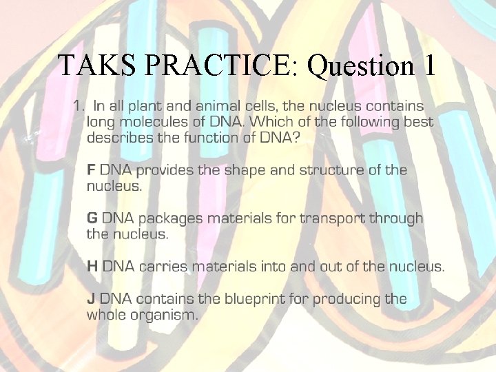 TAKS PRACTICE: Question 1 