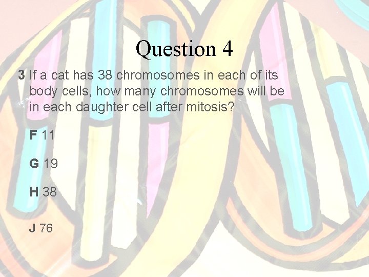 Question 4 3 If a cat has 38 chromosomes in each of its body