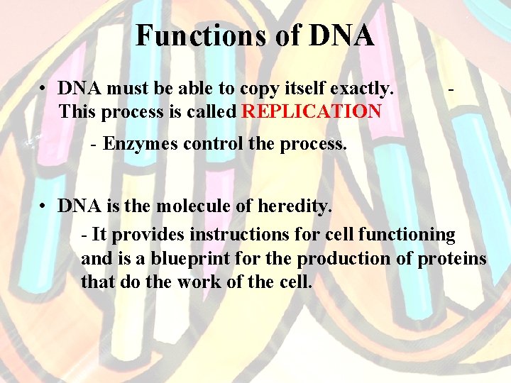 Functions of DNA • DNA must be able to copy itself exactly. This process