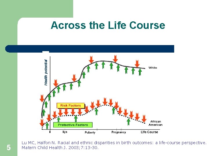 Health potential Across the Life Course 5 Lu MC, Halfon N. Racial and ethnic