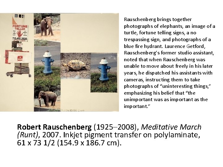 Rauschenberg brings together photographs of elephants, an image of a turtle, fortune telling signs,