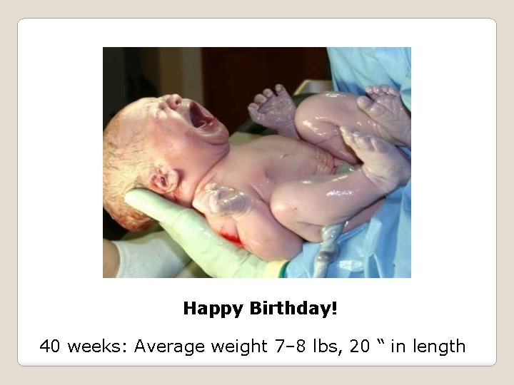 Happy Birthday! 40 weeks: Average weight 7– 8 lbs, 20 “ in length 