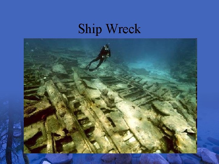 Ship Wreck 