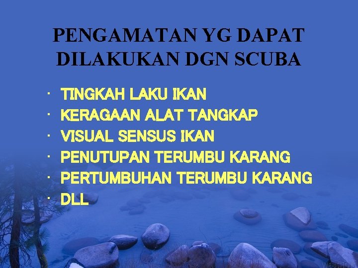 PENGAMATAN YG DAPAT DILAKUKAN DGN SCUBA • • • TINGKAH LAKU IKAN KERAGAAN ALAT