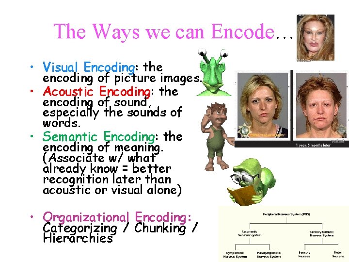 The Ways we can Encode… • Visual Encoding: the encoding of picture images. •
