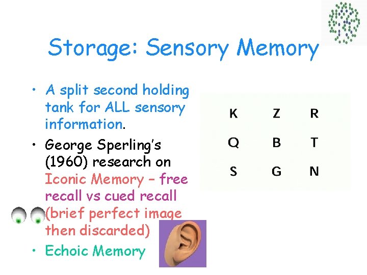 Storage: Sensory Memory • A split second holding tank for ALL sensory information. •
