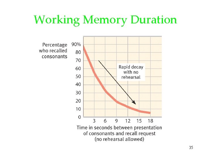 Working Memory Duration 35 