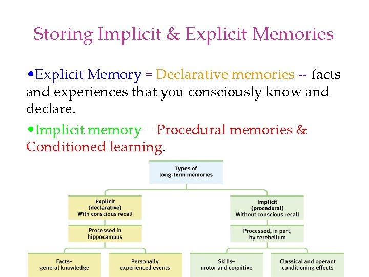 Storing Implicit & Explicit Memories • Explicit Memory = Declarative memories -- facts and