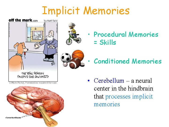 Implicit Memories • Procedural Memories = Skills • Conditioned Memories • Cerebellum – a