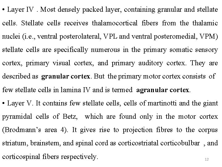  • Layer IV. Most densely packed layer, containing granular and stellate cells. Stellate