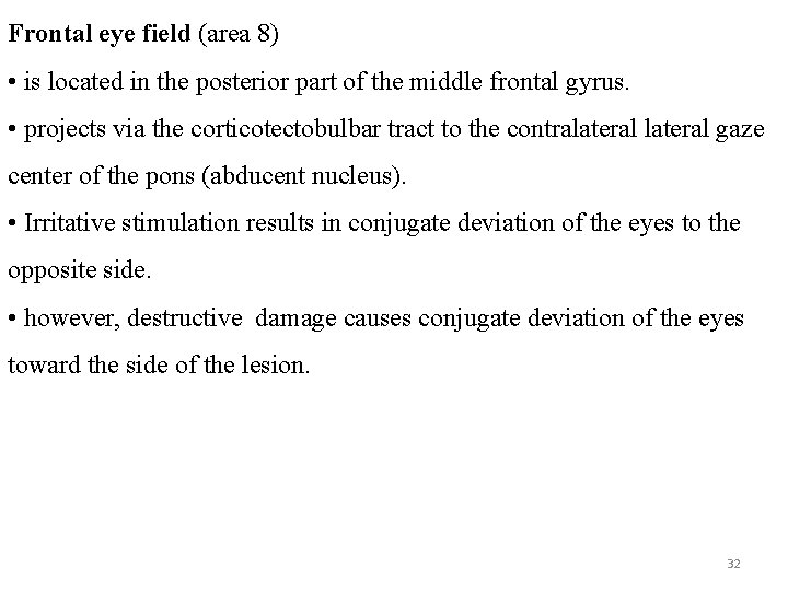 Frontal eye field (area 8) • is located in the posterior part of the