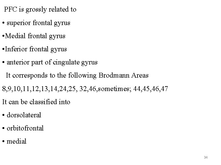 PFC is grossly related to • superior frontal gyrus • Medial frontal gyrus •