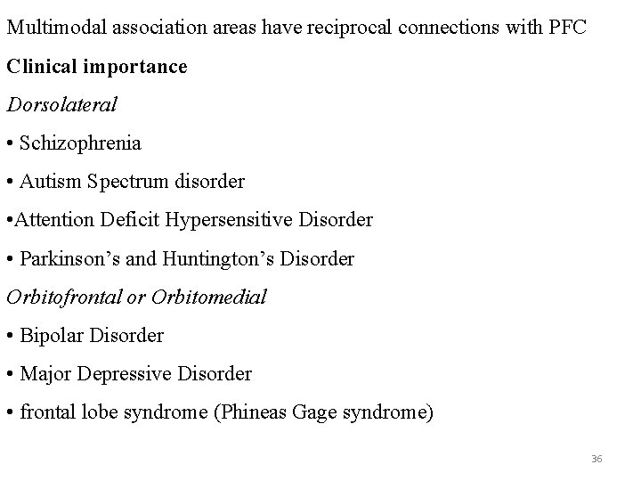 Multimodal association areas have reciprocal connections with PFC Clinical importance Dorsolateral • Schizophrenia •
