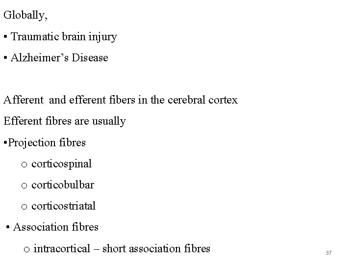 Globally, • Traumatic brain injury • Alzheimer’s Disease Afferent and efferent fibers in the