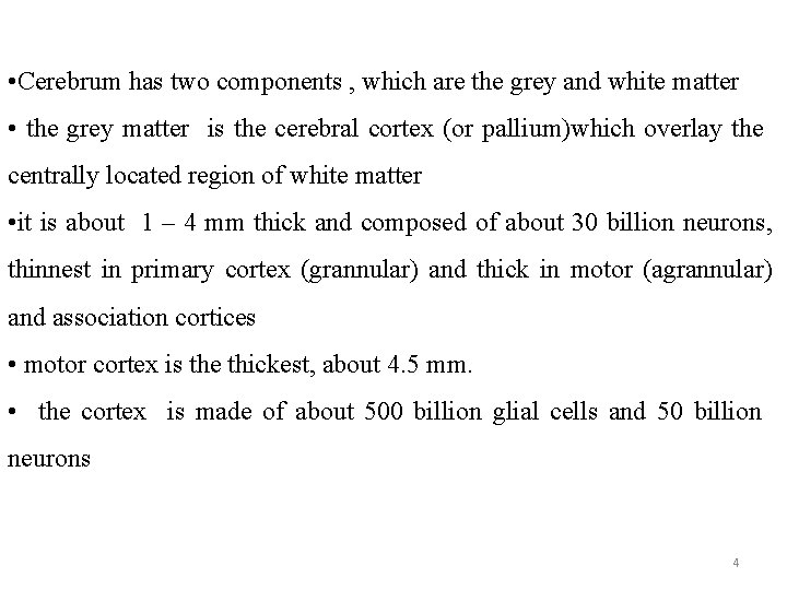  • Cerebrum has two components , which are the grey and white matter