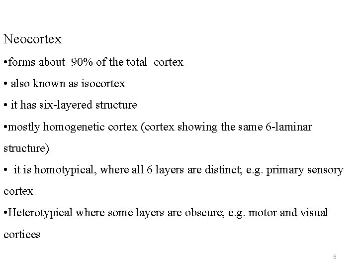 Neocortex • forms about 90% of the total cortex • also known as isocortex