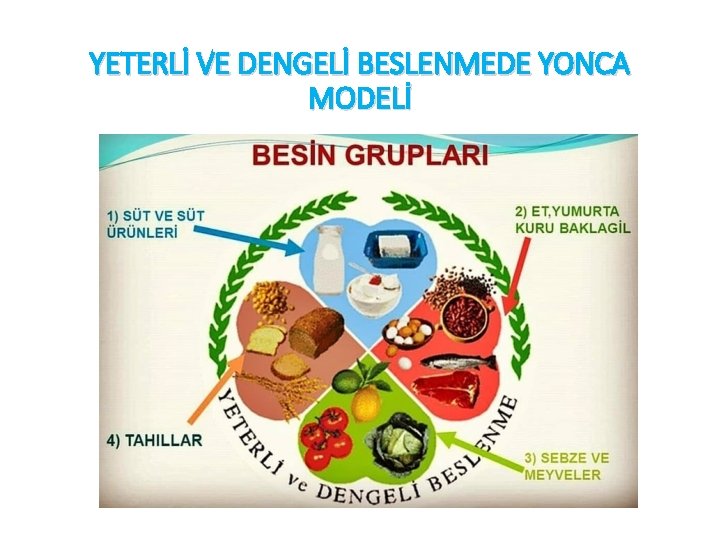 YETERLİ VE DENGELİ BESLENMEDE YONCA MODELİ 