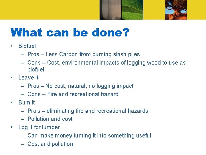What can be done? • Biofuel – Pros – Less Carbon from burning slash