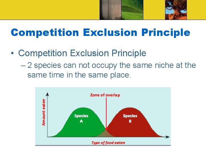 Competition Exclusion Principle • Competition Exclusion Principle – 2 species can not occupy the